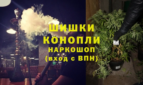 шишки Коряжма
