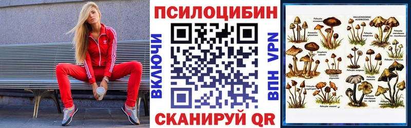 Псилоцибиновые грибы GOLDEN TEACHER  хочу наркоту  Сельцо 