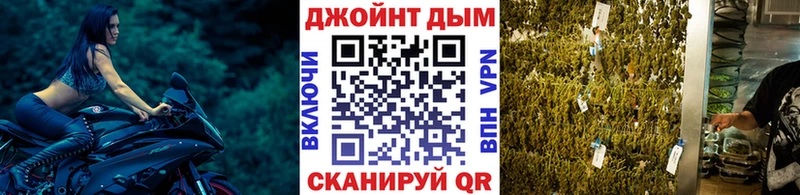 МАРИХУАНА сатива  KRAKEN зеркало  Сельцо  продажа наркотиков 